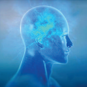 Blue Head image
